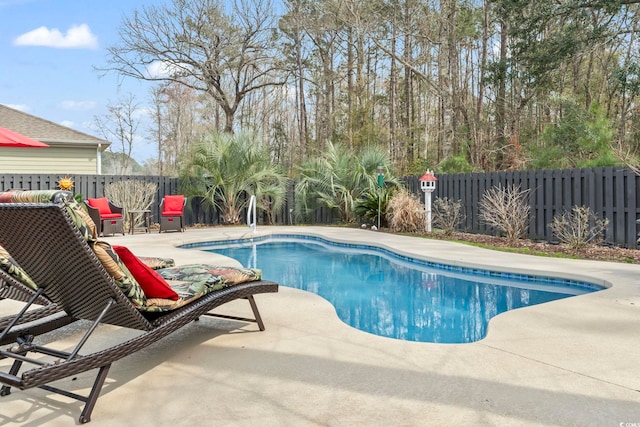 view of pool with a patio, a fenced backyard, and a fenced in pool