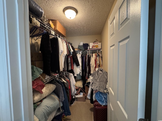 spacious closet featuring carpet flooring