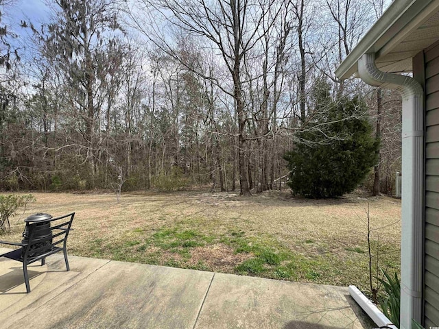 view of yard with a patio