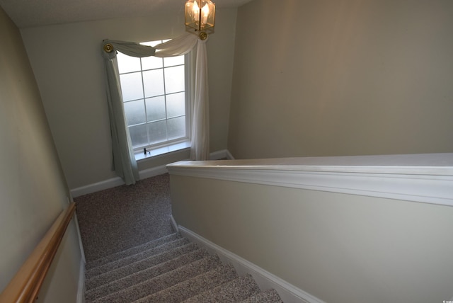 4300 Lotus Ct Unit G, Murrells Inlet, SC 29576 - photo 4