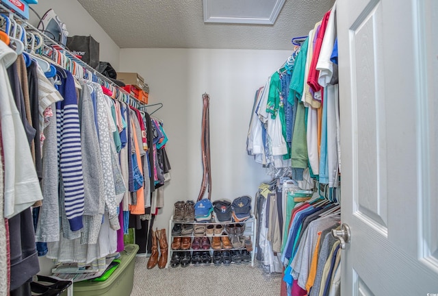 walk in closet featuring carpet floors