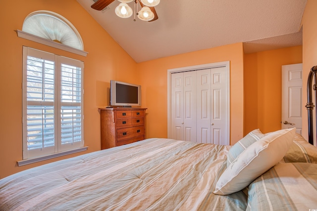 bedroom featuring vaulted ceiling and a closet