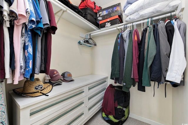 spacious closet featuring carpet