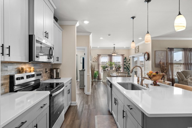 kitchen featuring a sink, backsplash, dark wood-style floors, stainless steel appliances, and light countertops