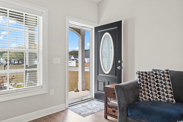 entryway with wood finished floors, a healthy amount of sunlight, and baseboards