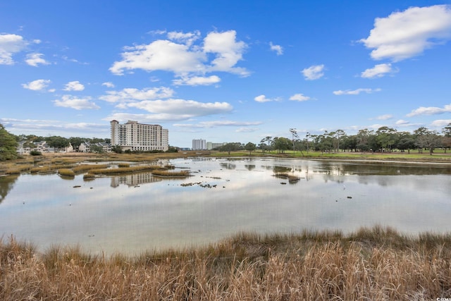 501 Maison Dr Unit F-1, Myrtle Beach, SC 29572 - water view