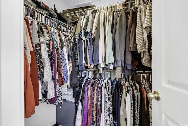 view of spacious closet