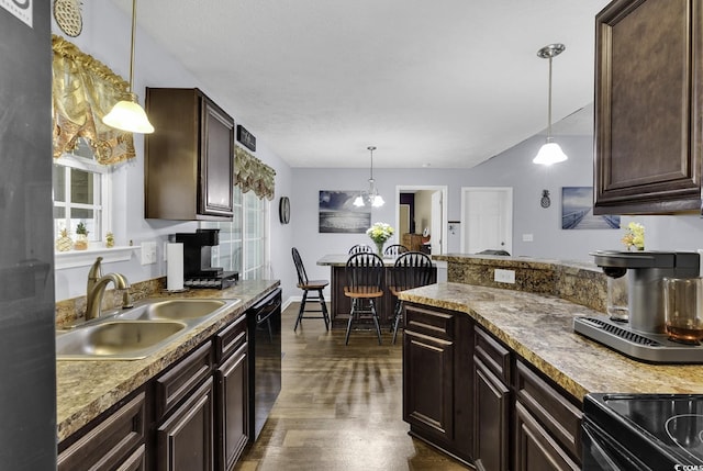 kitchen with dark brown cabinets, a sink, dishwasher, pendant lighting, and dark wood-type flooring