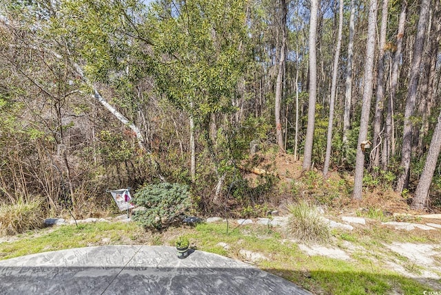 view of yard with a wooded view