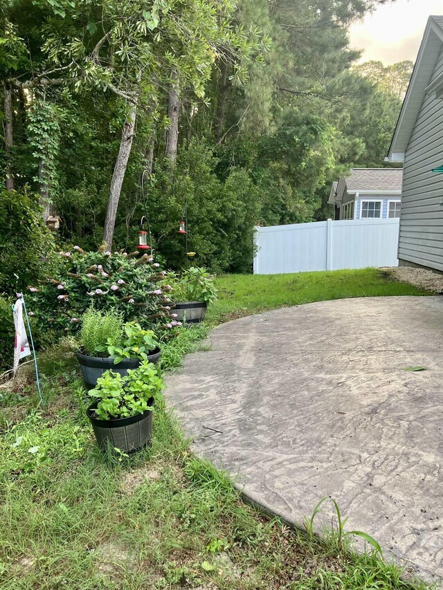 248 Upper Saddle Cir, Conway, SC 29526 - view of yard