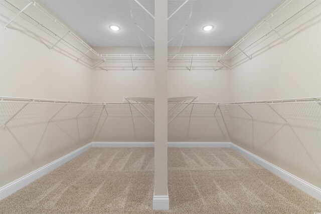 3329 Hughes Gasque Rd, Aynor, SC 29511 - spacious closet with carpet flooring