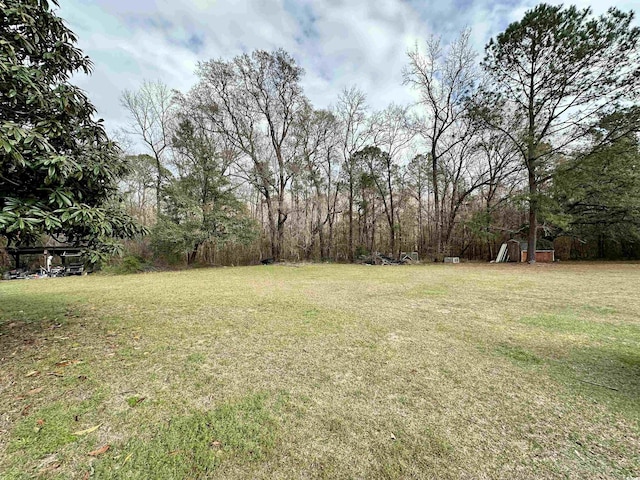 1993 Meadowood Ln, Longs, SC 29568 - photo 30