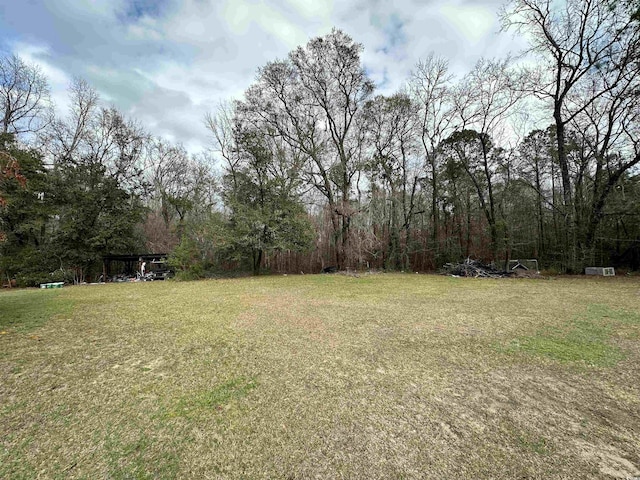 1993 Meadowood Ln, Longs, SC 29568 - photo 28