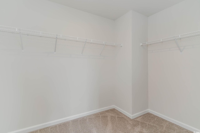 walk in closet with light carpet