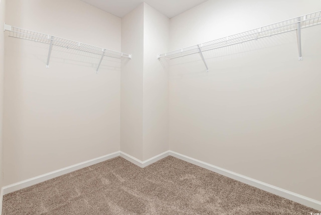 4484 E Coast Ln, Shallotte, NC 28470 - spacious closet featuring carpet floors