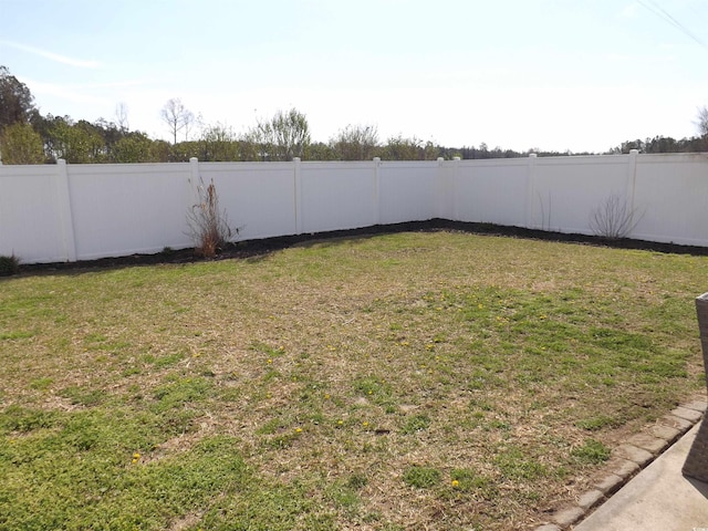 1001 Leatherman Rd, Conway, SC 29527 - view of yard