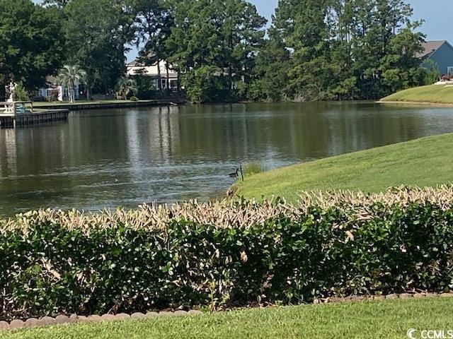 1435 Southwood Dr, Myrtle Beach, SC 29575 - photo 34