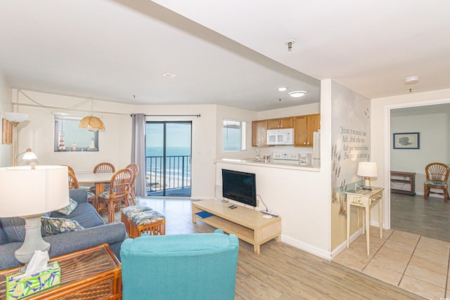 living area featuring light wood finished floors, baseboards, and recessed lighting