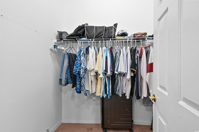 view of spacious closet
