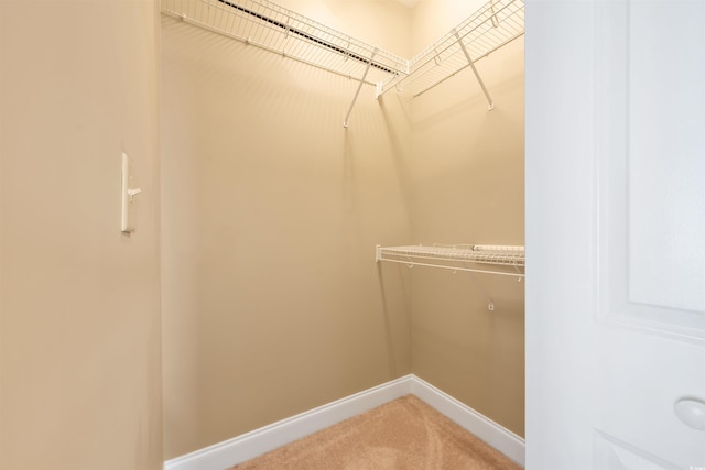 1025 World Tour Blvd Unit 101A, Myrtle Beach, SC 29579 - walk in closet with light colored carpet