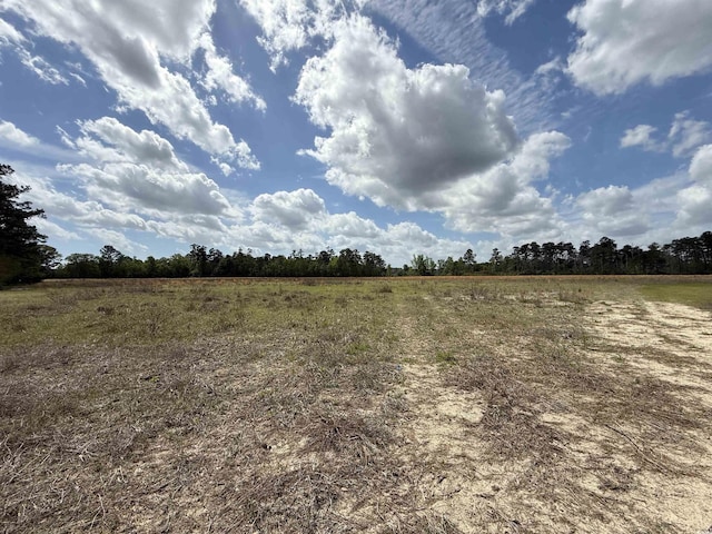 LOT7 Apple Valley Rd, Loris, SC 29569 - photo 1