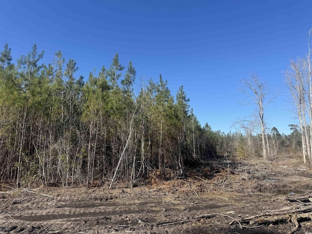 8862 Ware Dr, Nichols, SC 29581 - photo 6