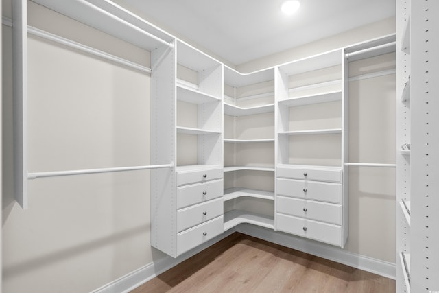 spacious closet featuring dark wood-type flooring