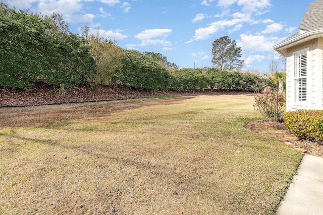view of yard