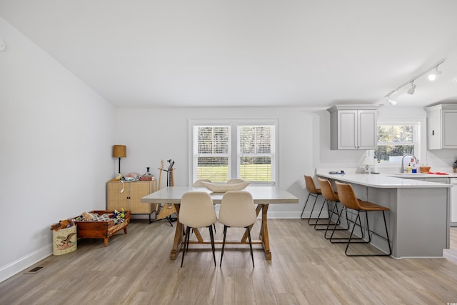 dining room featuring light wood-type flooring, baseboards, and track lighting