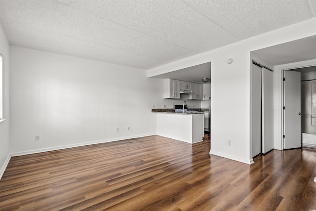 6850 Blue Heron Blvd Unit 205, Myrtle Beach, SC 29588 - unfurnished living room featuring a sink, baseboards, dark wood-type flooring, and a textured ceiling