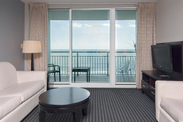 107 S Ocean Blvd Unit 704, Myrtle Beach, SC 29577 - living room featuring carpet floors