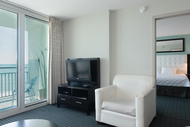 107 S Ocean Blvd Unit 704, Myrtle Beach, SC 29577 - interior space featuring a textured ceiling and dark colored carpet