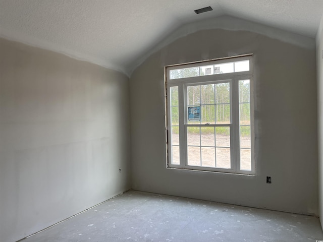 empty room with lofted ceiling, plenty of natural light, and a textured ceiling