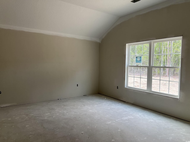 spare room featuring lofted ceiling