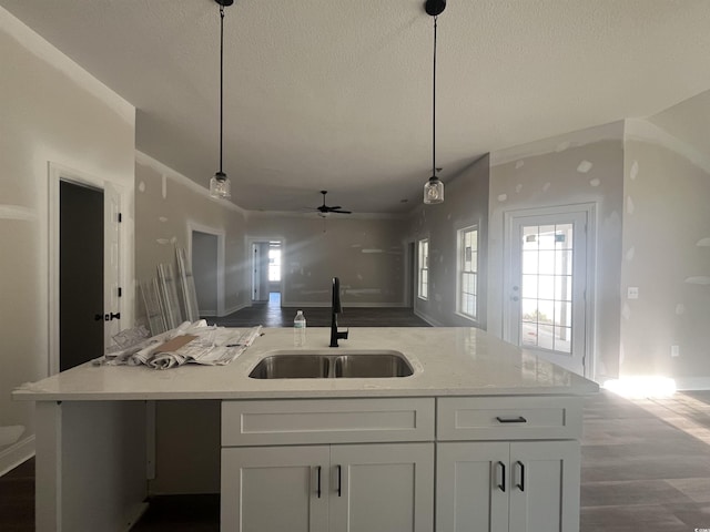 2921 Hughes Gasque Rd, Aynor, SC 29511 - photo 4