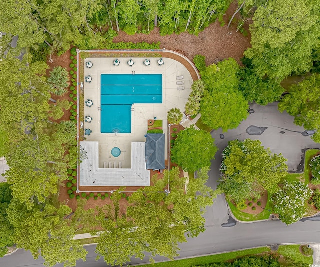 19 Coventry Pl, Pawleys Island, SC 29585 - bird's eye view of a pool area