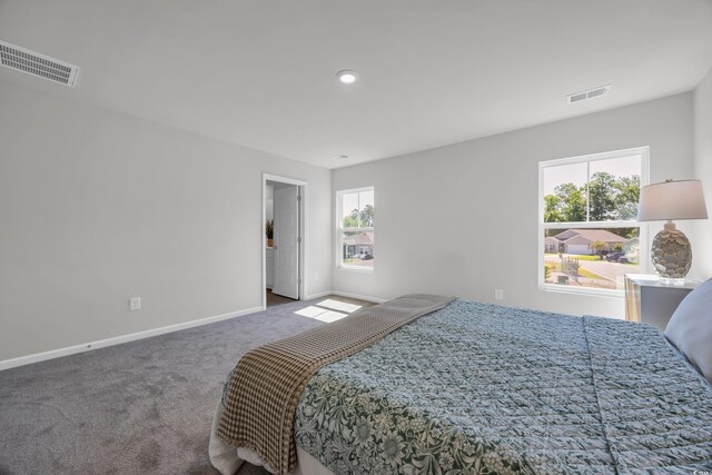 204 Leaflet Loop, Pawleys Island, SC 29585 - bedroom with carpet and baseboards