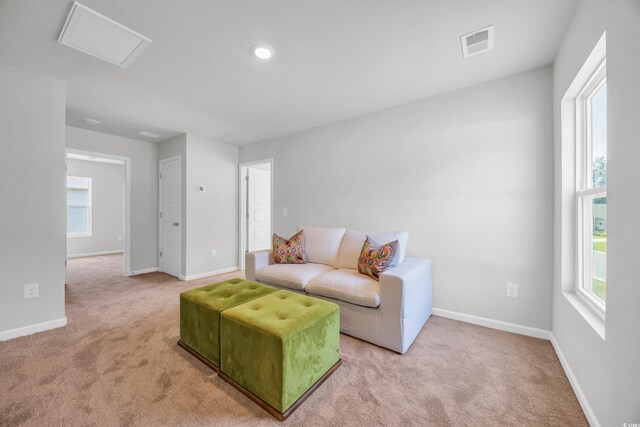 204 Leaflet Loop, Pawleys Island, SC 29585 - living area featuring carpet flooring, attic access, and baseboards