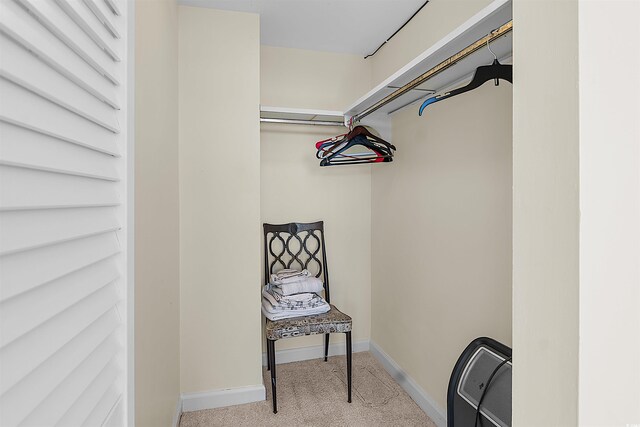 601 Mitchell Dr Unit 801, Myrtle Beach, SC 29577 - spacious closet with carpet