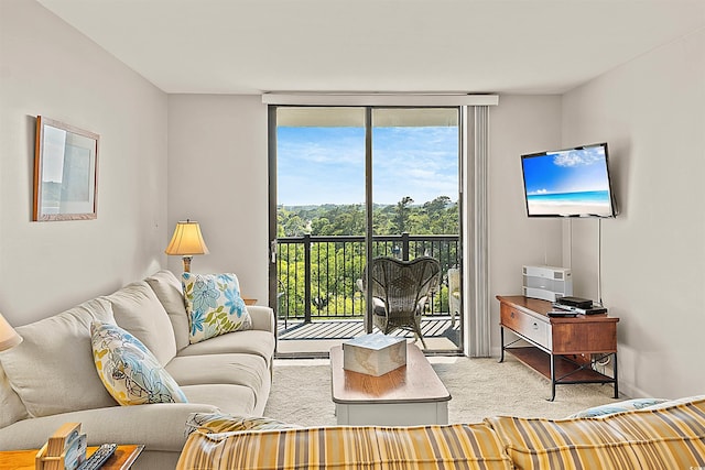 601 Mitchell Dr Unit 801, Myrtle Beach, SC 29577 - carpeted living area featuring a wall of windows