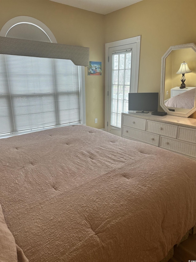 4639 Wild Iris Dr Unit 43-204, Myrtle Beach, SC 29577 - view of bedroom