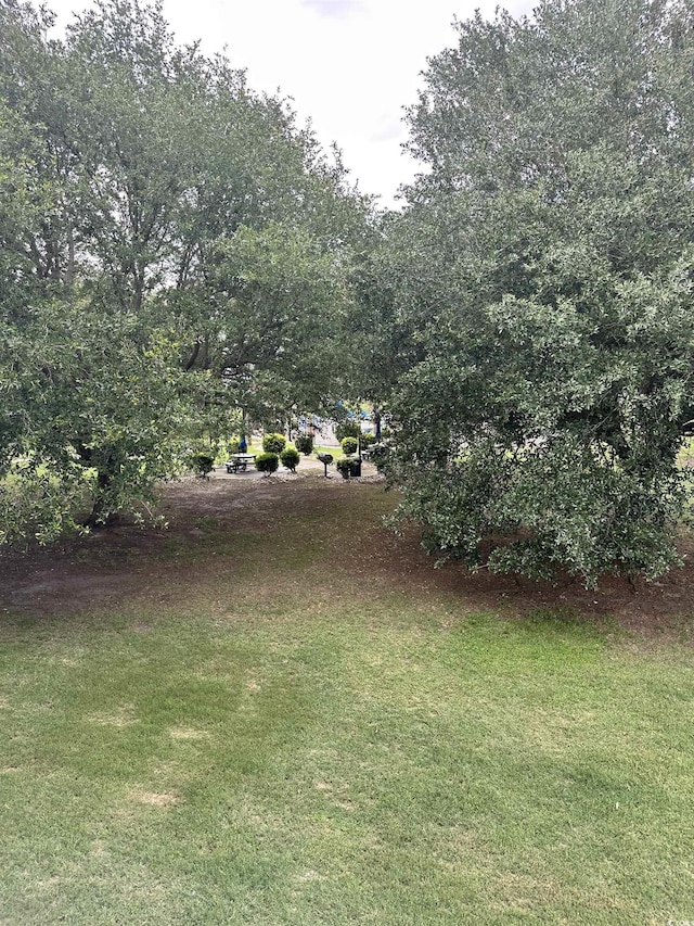 4639 Wild Iris Dr Unit 43-204, Myrtle Beach, SC 29577 - view of grassy yard