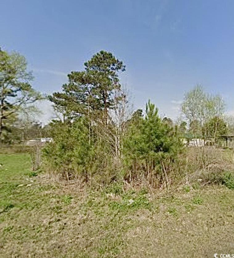 4581 Jenerette St, Loris, SC 29569 - photo 1