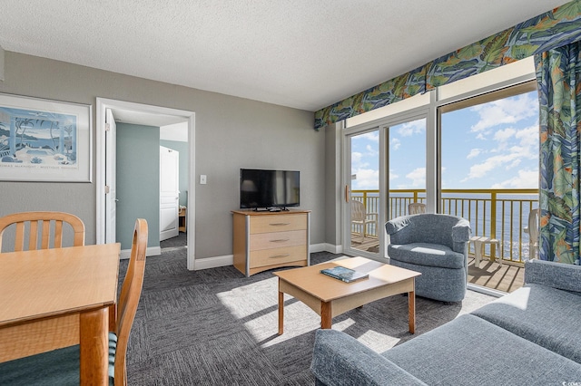 2801 S Ocean Blvd Unit 1509, North Myrtle Beach, SC 29582 - living area with carpet flooring and a textured ceiling