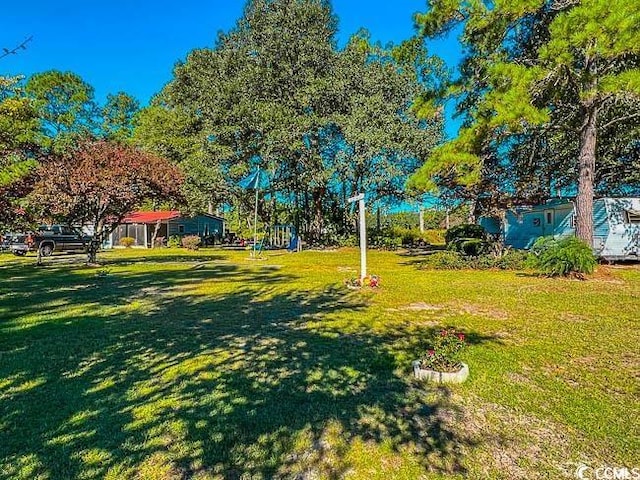 3641 Half Pint Rd, Longs, SC 29568 - view of green lawn