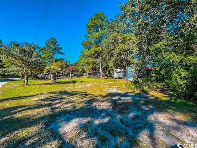 3641 Half Pint Rd, Longs, SC 29568 - view of grassy yard