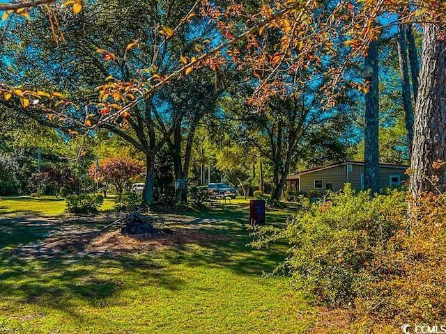 3641 Half Pint Rd, Longs, SC 29568 - view of grassy yard