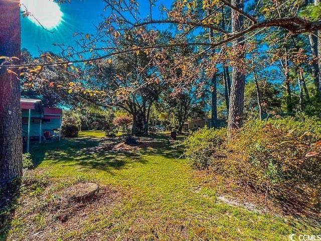 3641 Half Pint Rd, Longs, SC 29568 - view of grassy yard