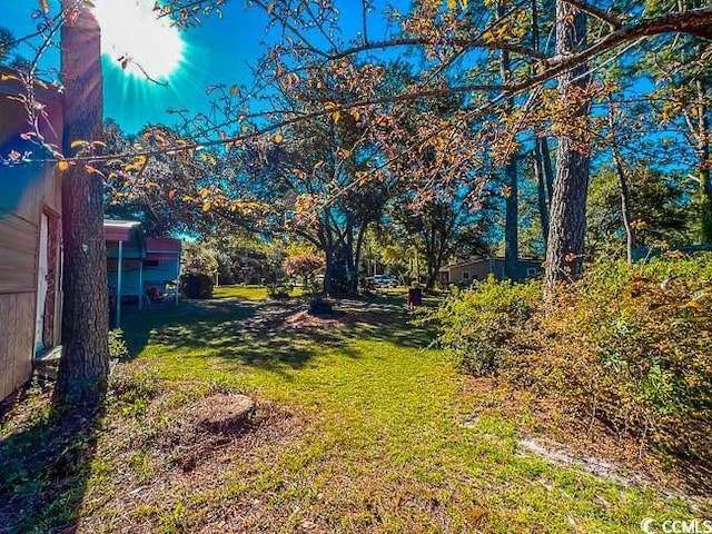 3641 Half Pint Rd, Longs, SC 29568 - view of green lawn