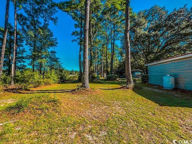 3641 Half Pint Rd, Longs, SC 29568 - view of green lawn